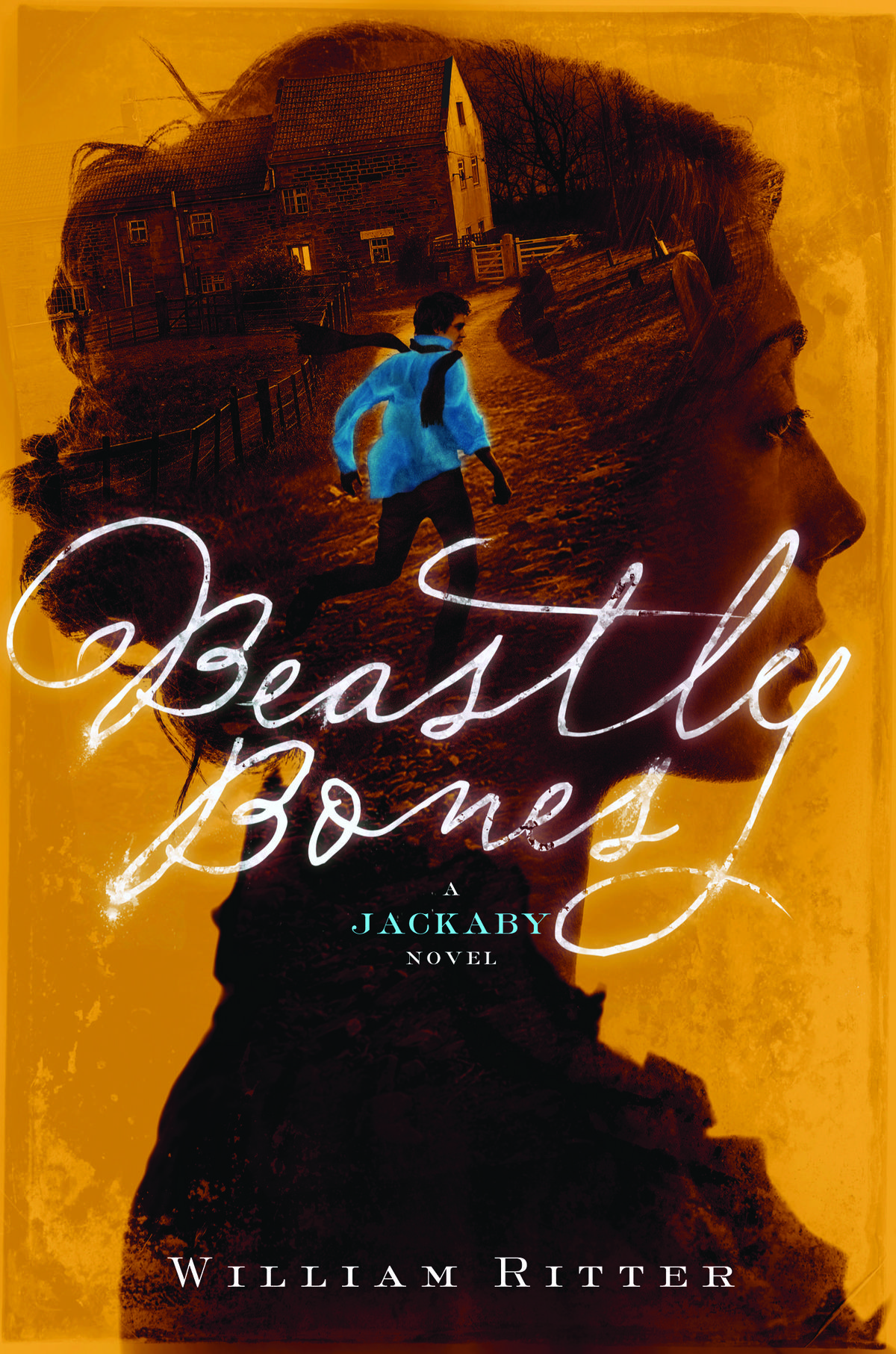 Book Cover Example 2