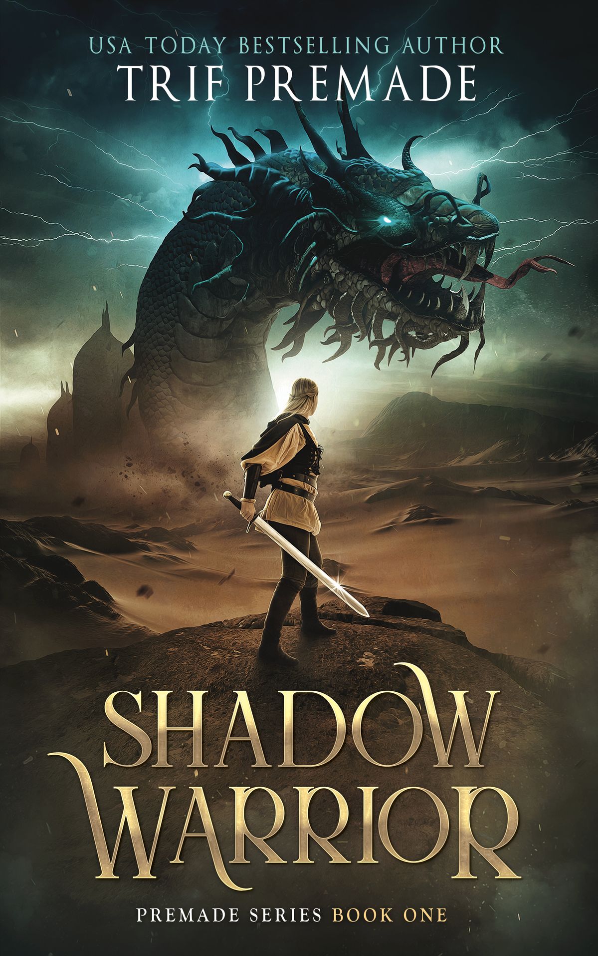 Book Cover Example 3